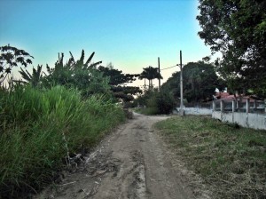 Ruas abandonadas em Ponta Grossa. Mato, buracos e lama. (Foto: João Henrique | Maricá Info)