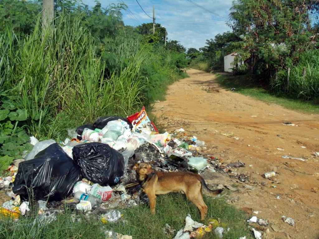 Lixo nas ruas pode se tornar um risco para a saúde. (Foto: João Henrique | Maricá Info)