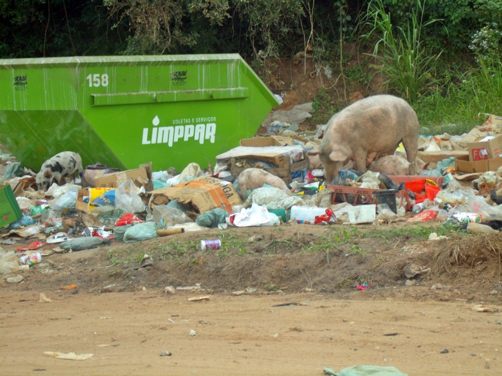Lixão da 90 aumenta a cada dia. Coleta de lixe é irregular na região, dizem moradores. (Foto: João Henrique | Maricá Info)
