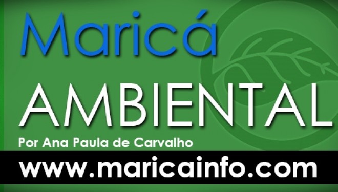 O Levante Árabe do Século XXI O Levante Árabe do Século XXI