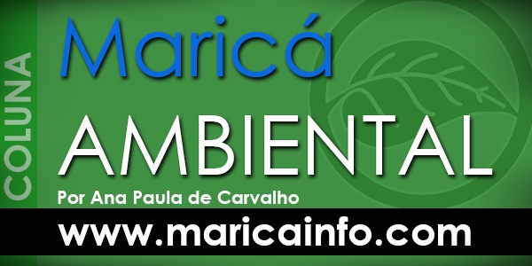 Maricá Ambiental - Clique e curta a página do MaricáInfo.com no Facebook.