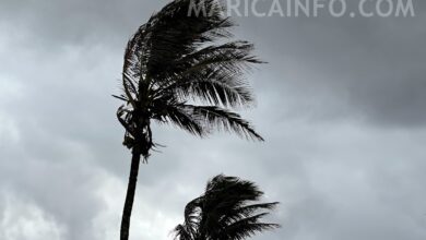 Ventos fortes atingem Maricá. (foto: João Henrique / Maricá Info)