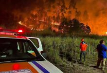 incendio cajueiros