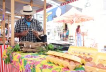 feira agricultura marica itaipuacu
