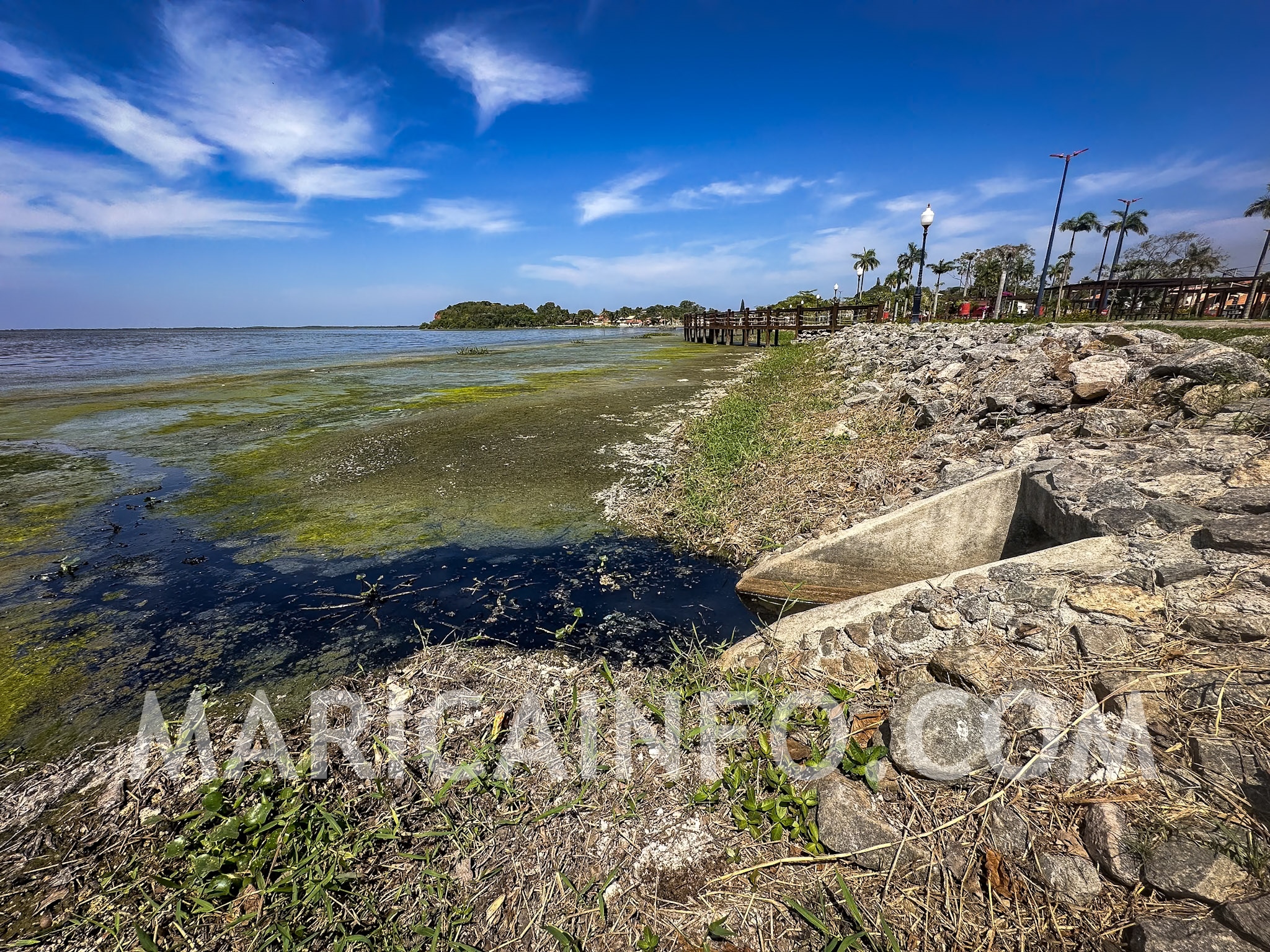 Lingua Negra Lagoa do Marine Marica Setembro 2024 Esgoto 2