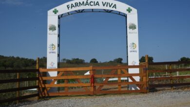 farmacia viva