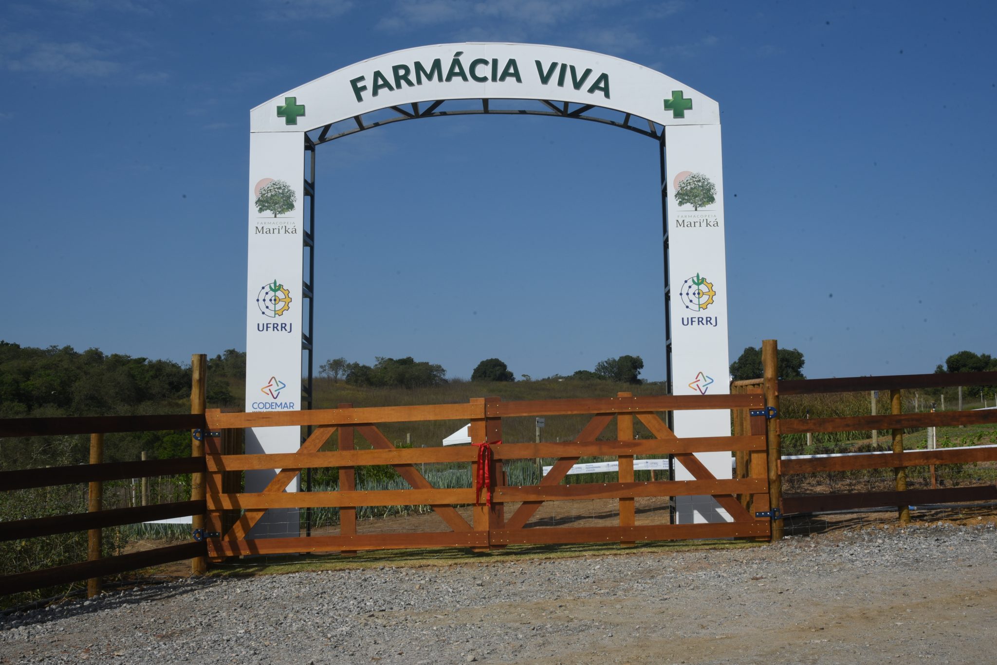 farmacia viva