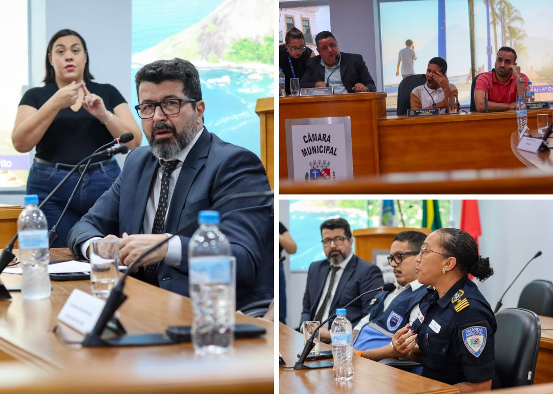 Audiencia Publica Armamento Guarda Marica