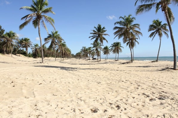 fort leza