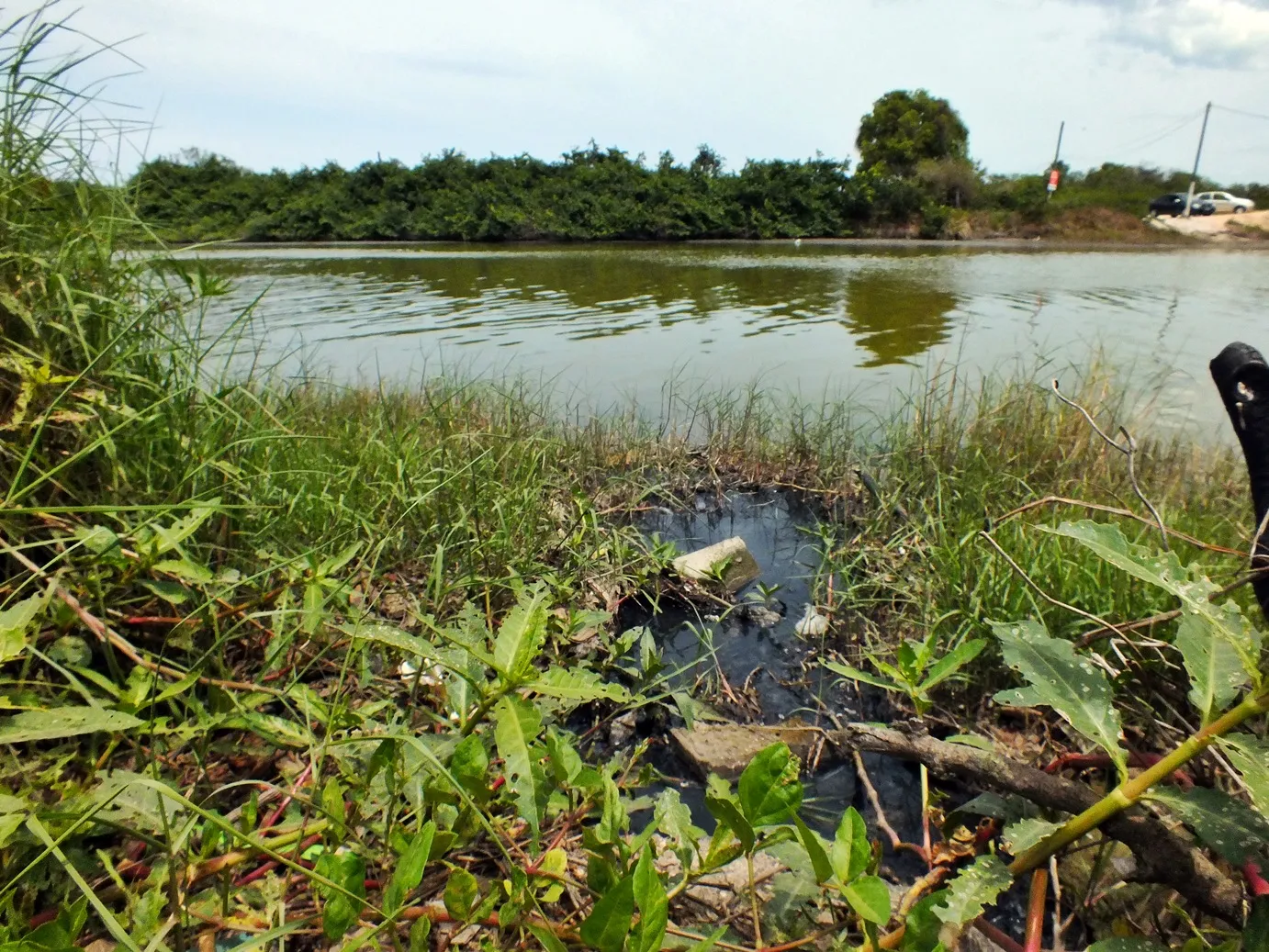 Lagoa está sendo poluída por esgoto residencial em Bambuí. (Foto: João Henrique | Maricá Info)