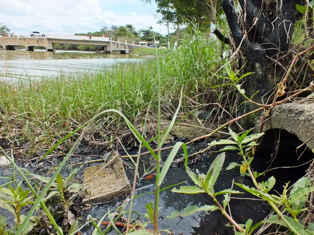 Desmatamento e degradação ambiental avançam em Cordeirinho e Bambuí 2 Esgoto residencial cai 'in natura' na lagoa de Guarapina. (Foto: João Henrique | Maricá Info)