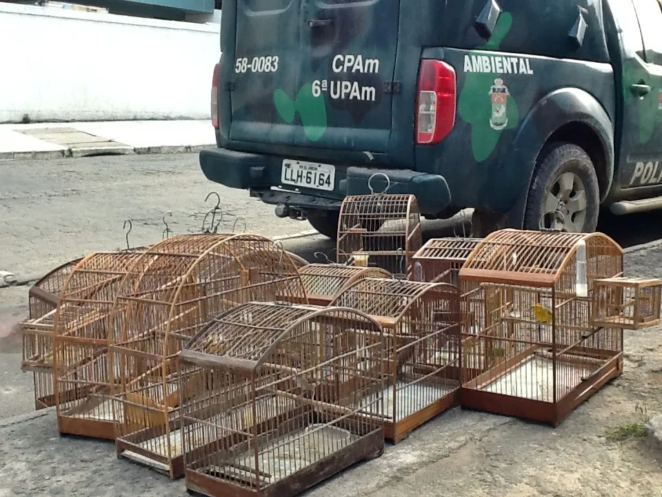 UPAm prende um e apreende pássaros em São Gonçalo 1 Pássaros foram apreendidos e mulher encaminhada para a delegacia.