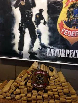 Após operação que apreendeu 10 quilos de maconha, PF foi até depósito onde foram encontrados mais 161 quilos da droga. (foto: Divulgação / Polícia Federal)