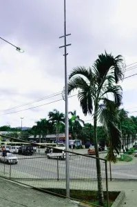 Postes, que já começaram a ser instalados no Centro, possuem sete metros de altura. (foto: Fernando Silva)