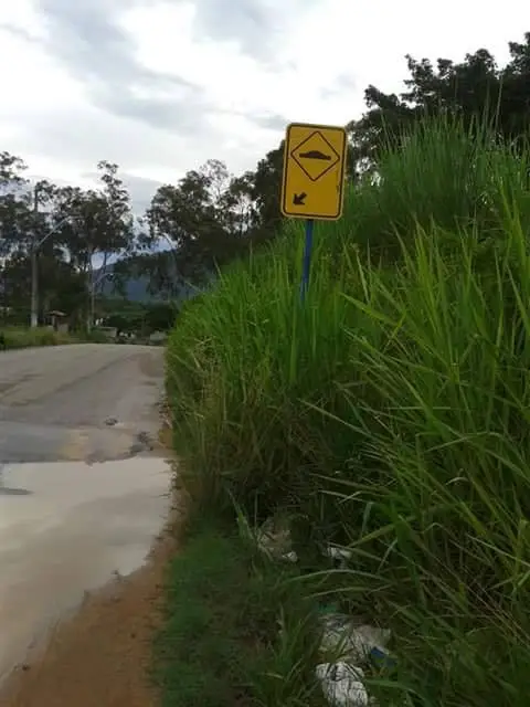 O mato alto já está quase encobrindo a placa de sinalização