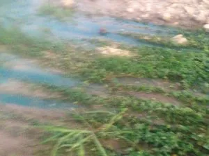 Vazamento de produtos qu&iacute;micos atingiu regi&atilde;o do bairro Ino&atilde;. (Foto: Pol&iacute;cia Ambiental/Divulga&ccedil;&atilde;o)