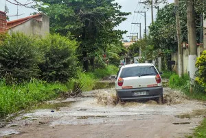 (foto: Jo&atilde;o Henrique / Maric&aacute; Info)