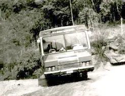 amparo ant