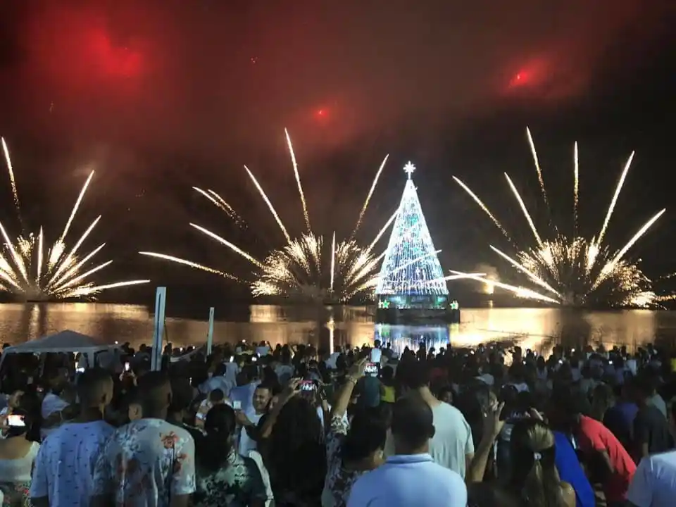 arvore natal luz marica