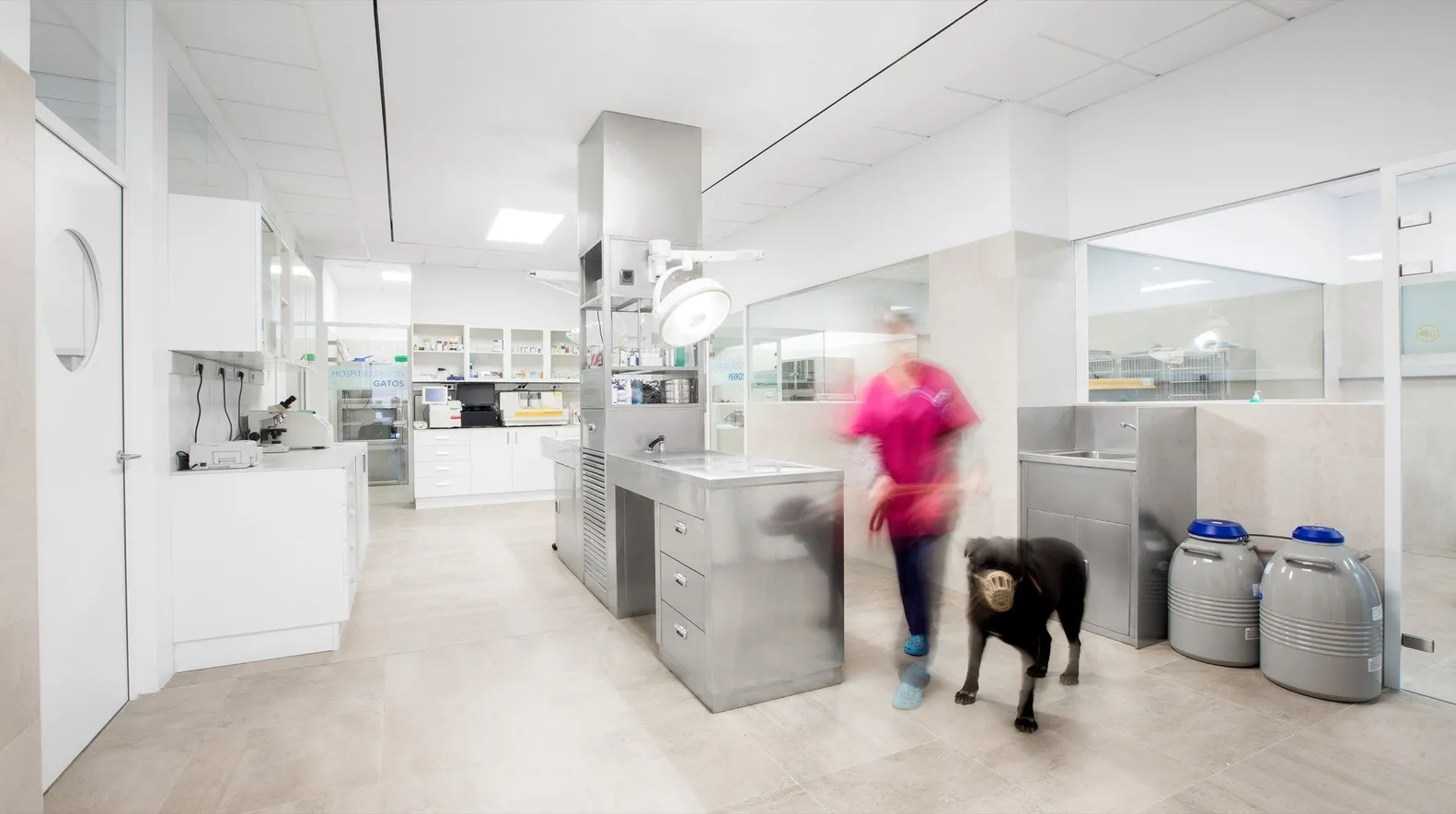 hospital vet