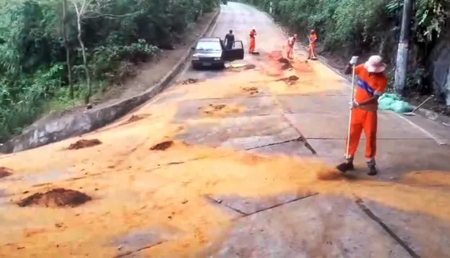 limpeza serrinha