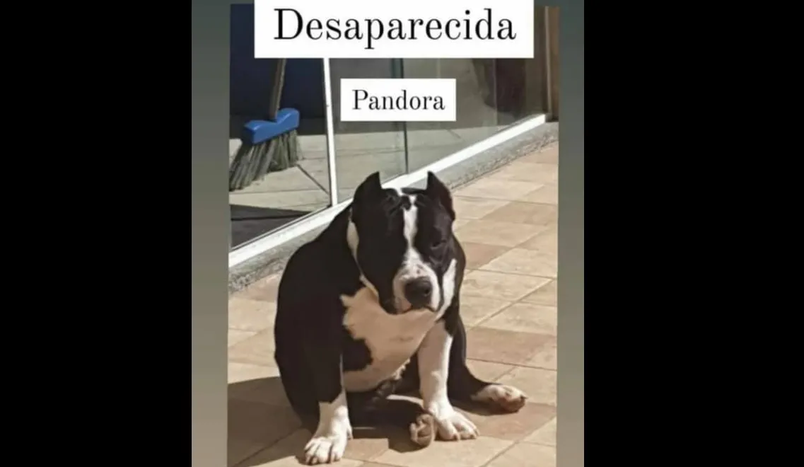 pandora ponta negra