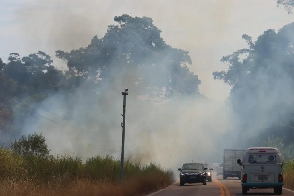 Queimadas por toda Maricá assustam moradores, destroem vegetação e matam animais 2 fogo