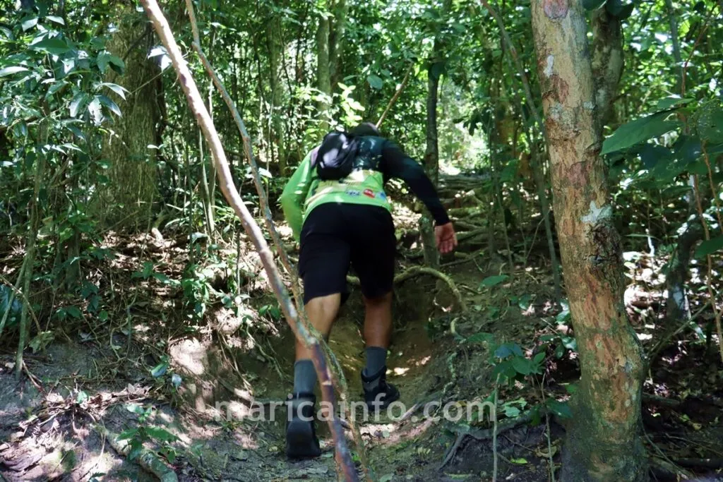 Apesar de ser considerada leve, trilha tem subida bem íngreme em meio à Mata Atlântica.