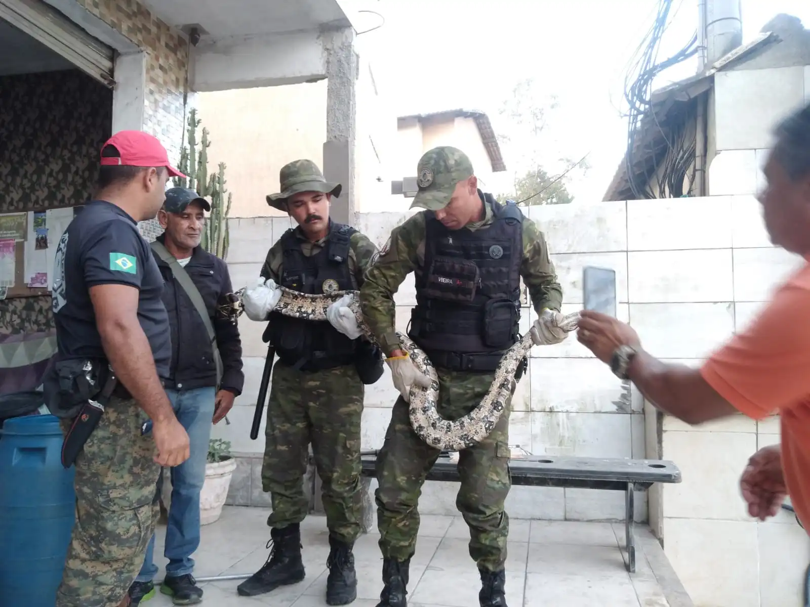 pegando na cobra