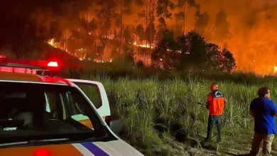 incendio cajueiros