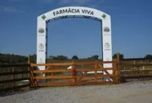 farmacia viva