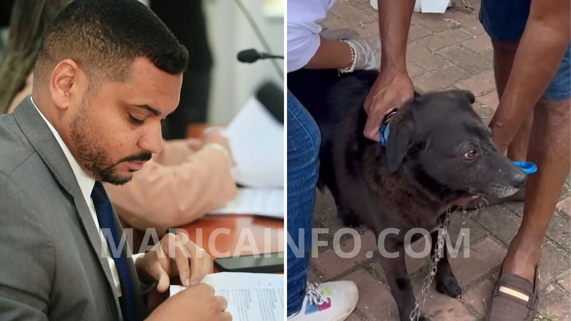 fabricinho patrulha pet