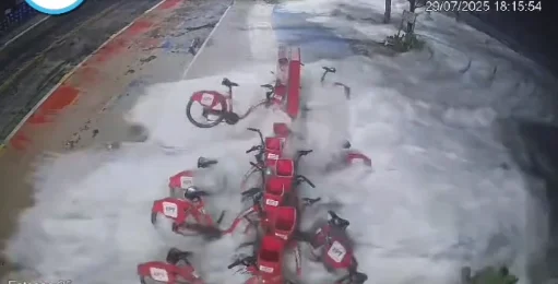 vermelhinhas atingidas pela ressaca