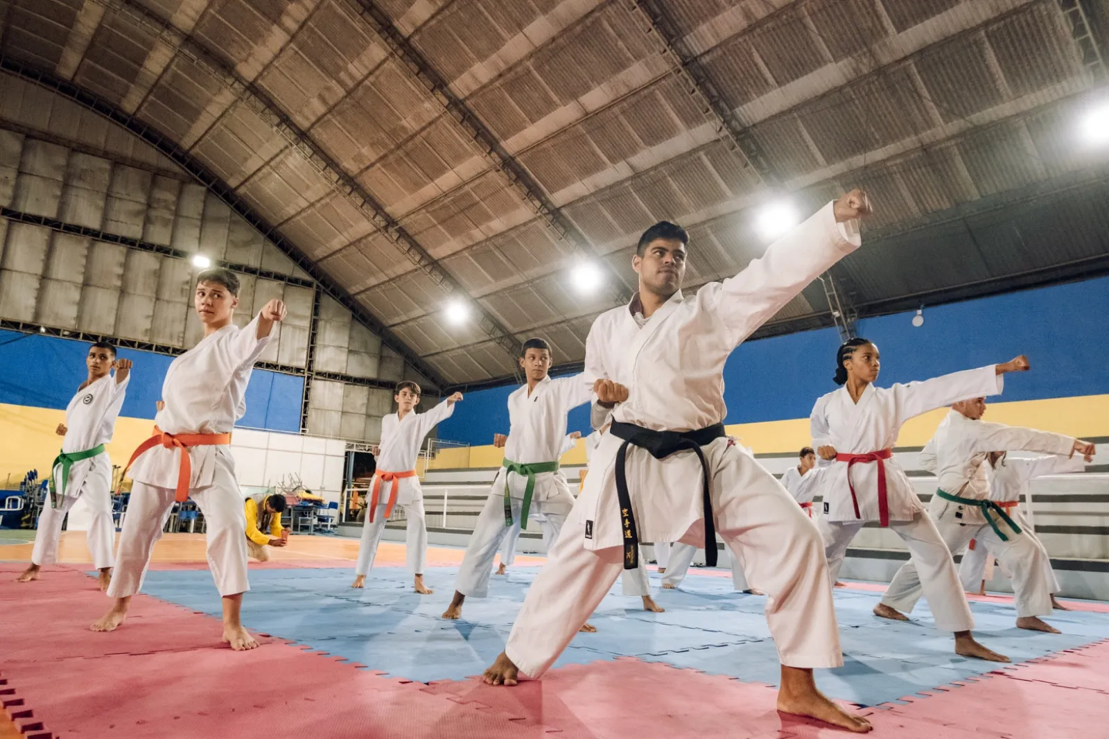 karate copa